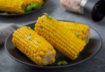 Everything You Need to Know About Corn